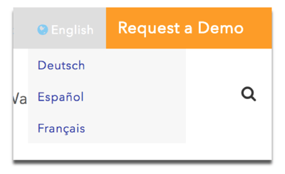 Request a Demo Example