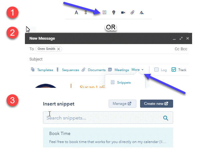 HubSpot Snippets Example