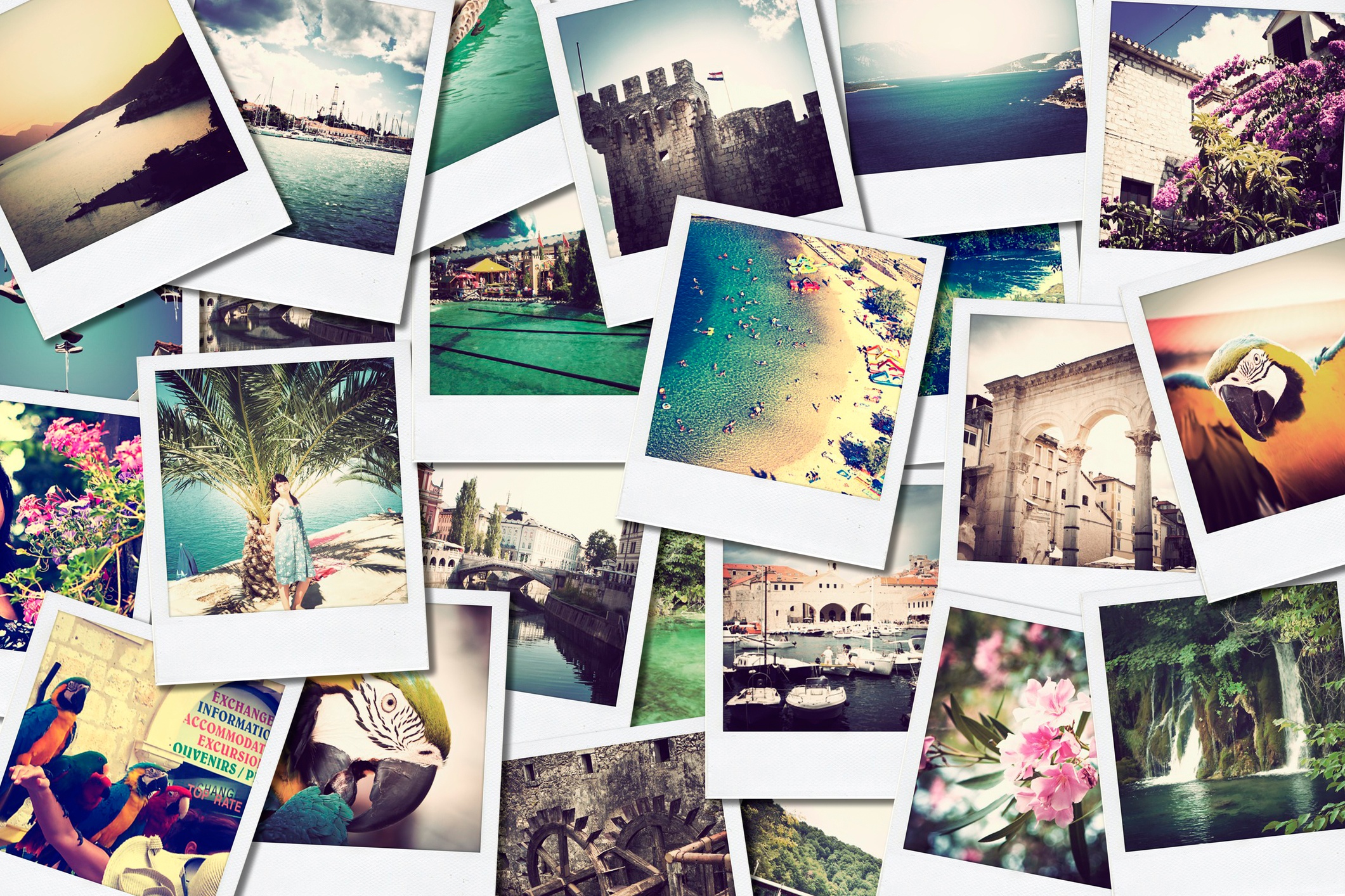 6 Brands Using Instagram for B2B & B2C Marketing Success