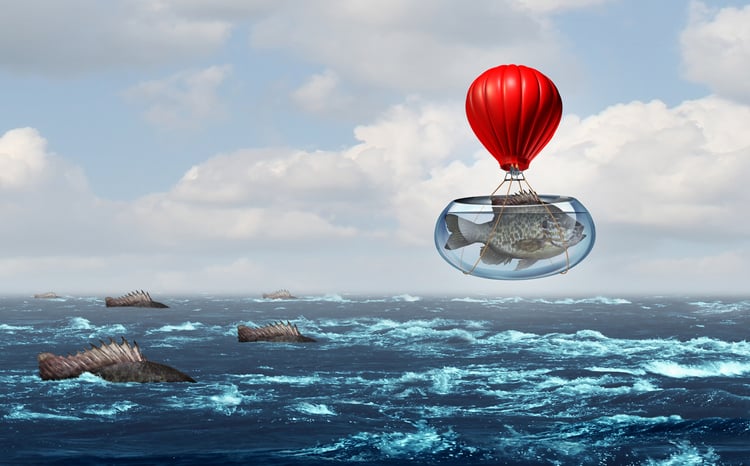 3 Examples of Marketing Success with Effective Lead Management