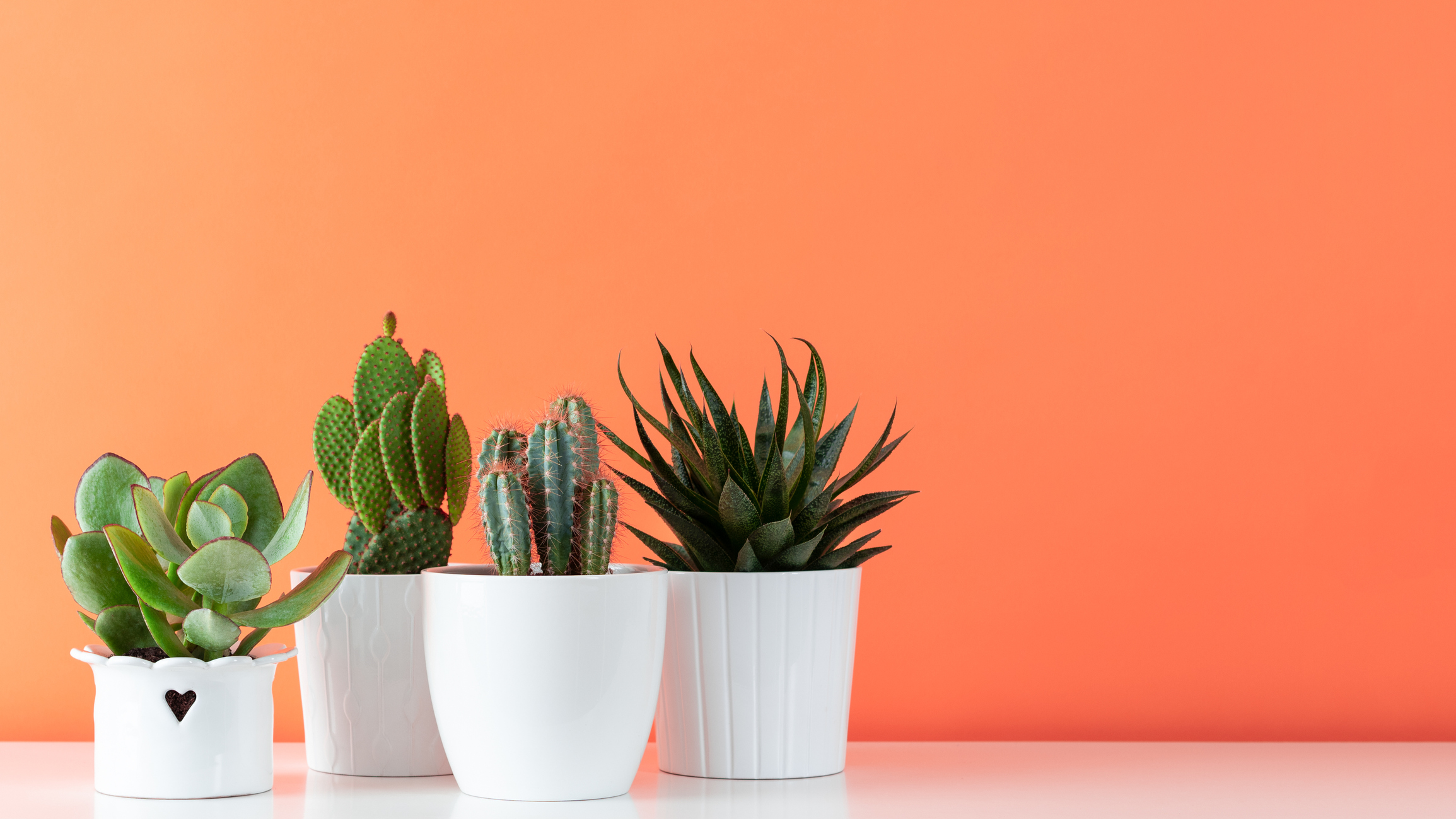The Ultimate Guide to Organizing Your HubSpot Portal